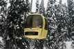 5 killed as tree falls on cable car rope in Kashmirs Gulmarg